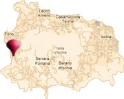 Ischia Map